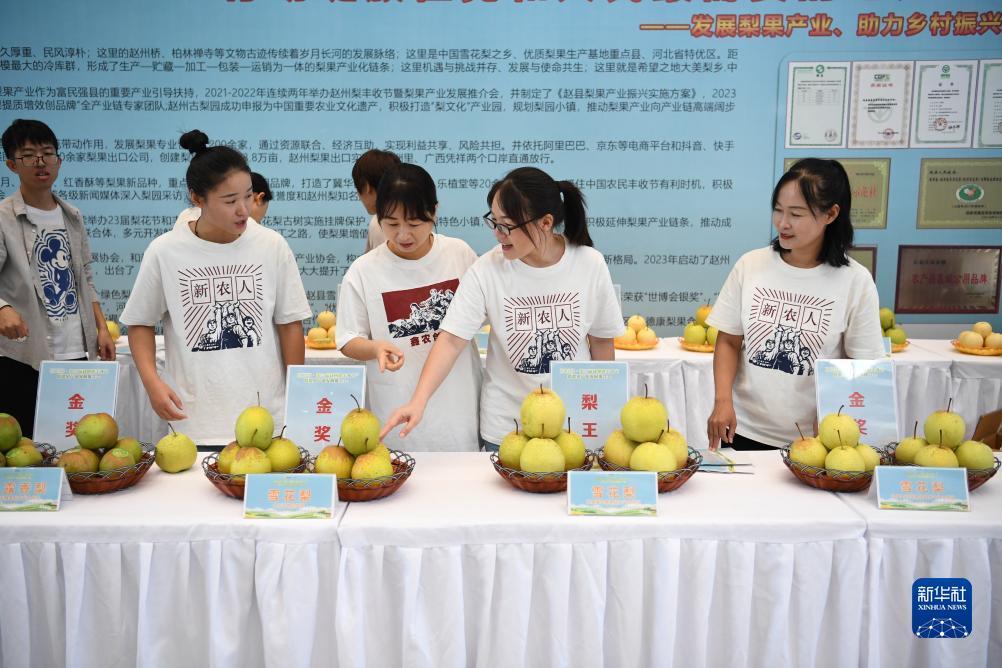 大好玩棋牌网站